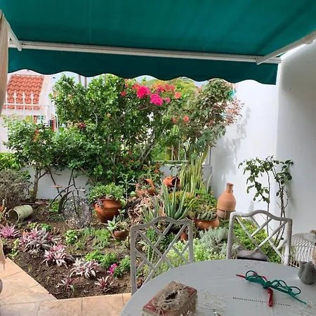 Costa Adeje Estudio Troya